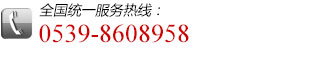 全國統一服務(wù)熱線(xiàn):0539-8608958